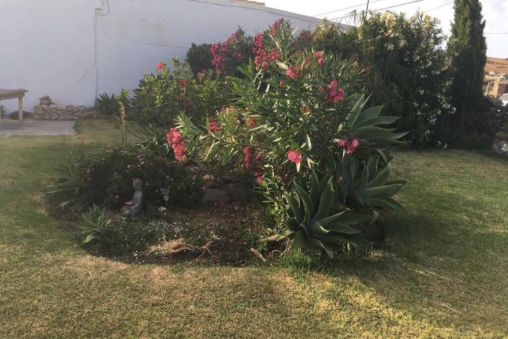 Apartamento Antonia muy cerca de la playa Bolonia Exterior foto